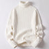 Turtleneck Sweater Men Women Ins Fashion Solid Striped Bottoming Sweater Autumn And Winter Tops Clothing Douson Odeh