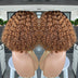 Cross-border E-commerce Exclusively For Ombre Curly Bobo1b30 Human Hair Lace Wig