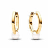 S925 Sterling Silver New Style Pearl Series Earrings