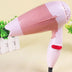 Electric Hair Dryer