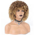Cross-Border Wigs European And American Fashion African Small Curly Ladies Wigs Headgear Wig African Explosive Head
