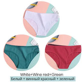 Women Underpants Solid Girls Briefs Sexy Female Lingerie M-XL Comfort Underwear Douson Odeh