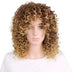 Fashionable chemical short curly hair wig Douson Odeh