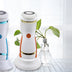 Electric pore cleaner