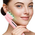 Facial Beauty Ion Device and Beauty Instrument Mi tienda