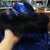 Children's shiny down jacket