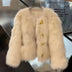 Autumn And Winter New Short Thickened Environmental Protection Faux Fox Fur High-end Tops Coat For Women Douson Odeh