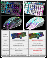 Kuiying T6RGB Luminous Keyboard And Mouse Set Douson Odeh