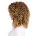Fashionable chemical short curly hair wig Douson Odeh