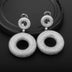 S925 Silver Zircon Eardrops European And American