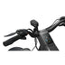 Ranger EB50 EBike